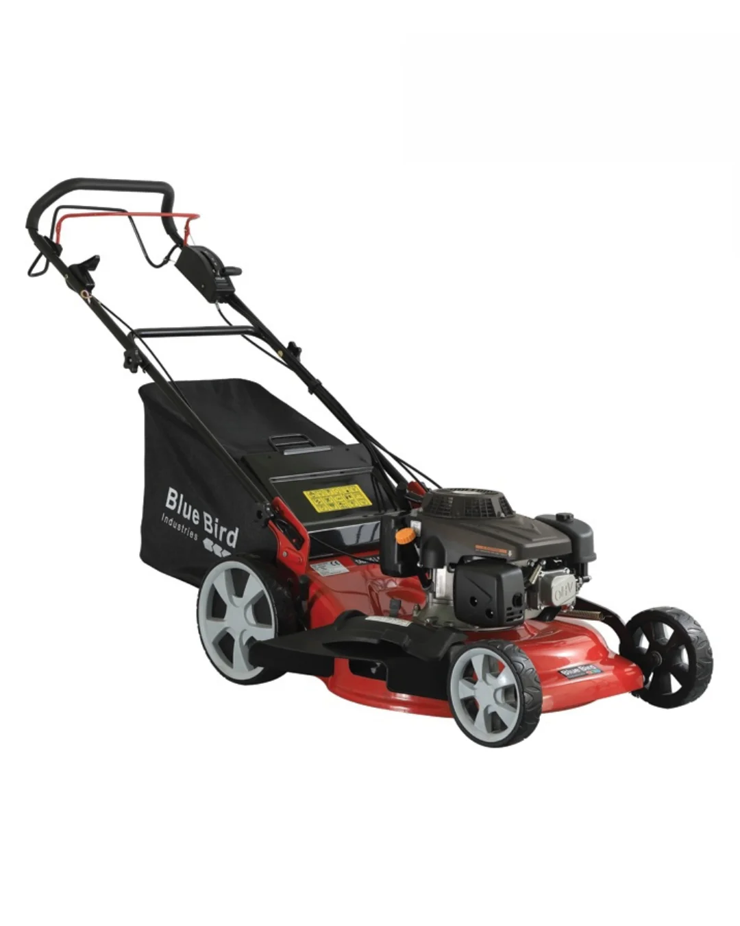 Bluebird – Taurus L56 TW