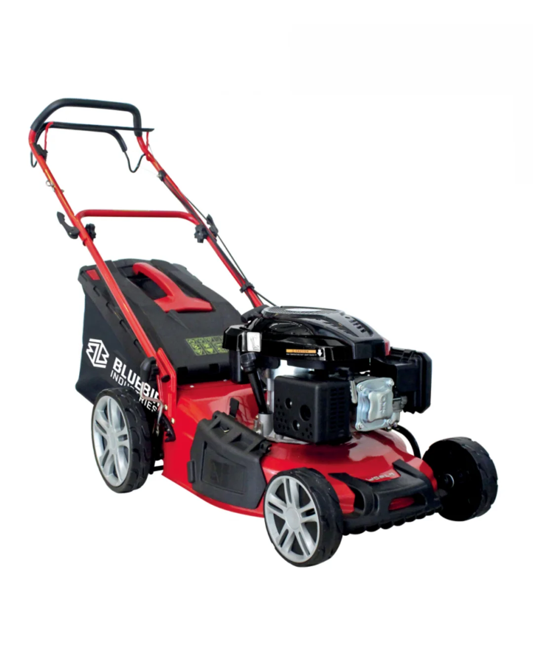 Bluebird – Taurus L51 TI