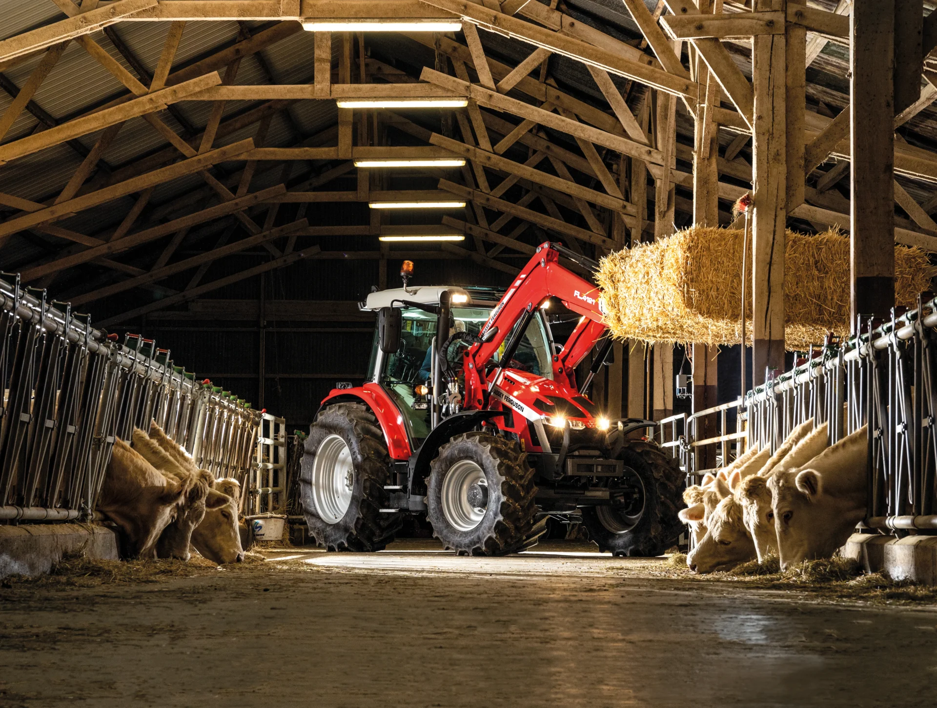 massey-ferguson-agrodon